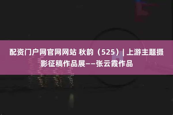 配资门户网官网网站 秋韵（525）| 上游主题摄影征稿作品展——张云霞作品
