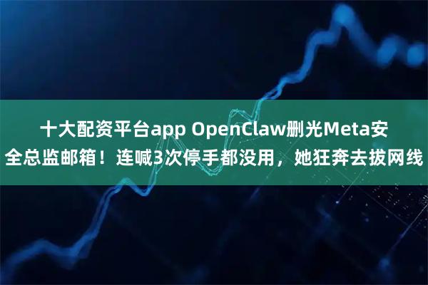 十大配资平台app OpenClaw删光Meta安全总监邮箱！连喊3次停手都没用，她狂奔去拔网线