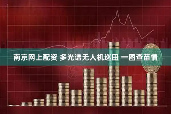 南京网上配资 多光谱无人机巡田 一图查苗情