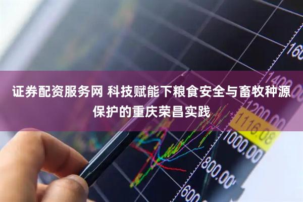 证券配资服务网 科技赋能下粮食安全与畜牧种源保护的重庆荣昌实践